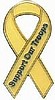 pin 4924 yellow ribbon support our troops